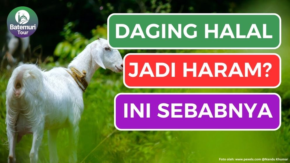 9 Perkara yang Dapat Menjadikan Daging Hewan Halal Menjadi Haram